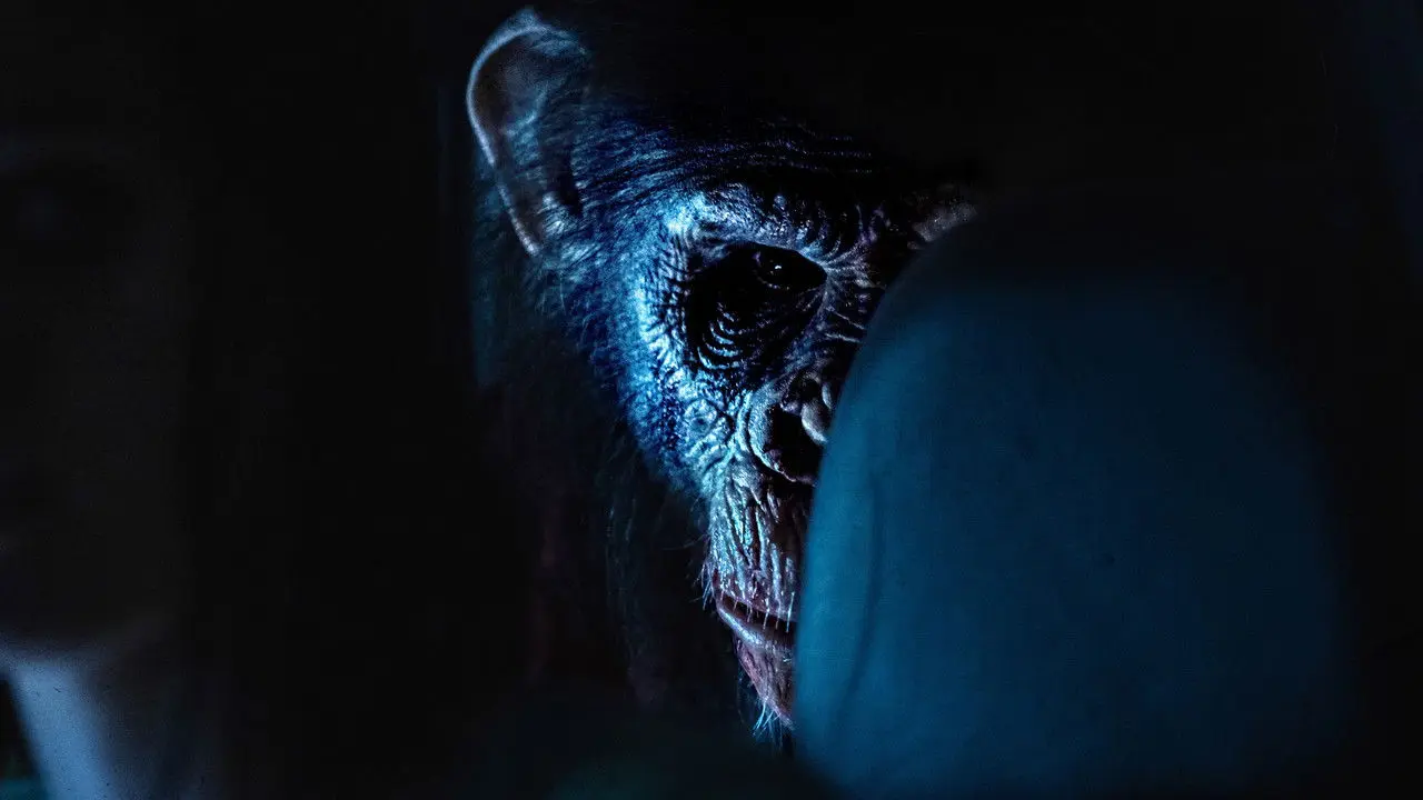 Primate