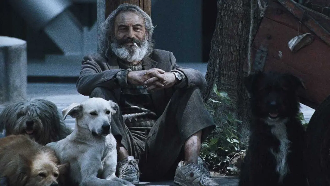 Amores Perros