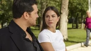 Episode 17