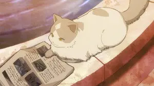 Life in the Castle Town & the Black Cat and the Adventurous Prince