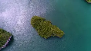 Episode 35