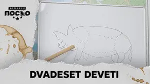 2458 Dvadeset deveti