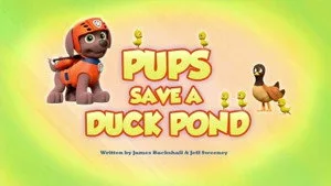 Pups Save a Duck Pond