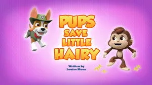 Pups Save Little Hairy