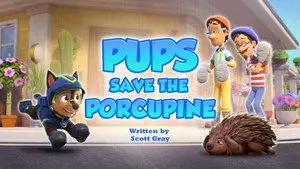 Pups Save the Porcupine